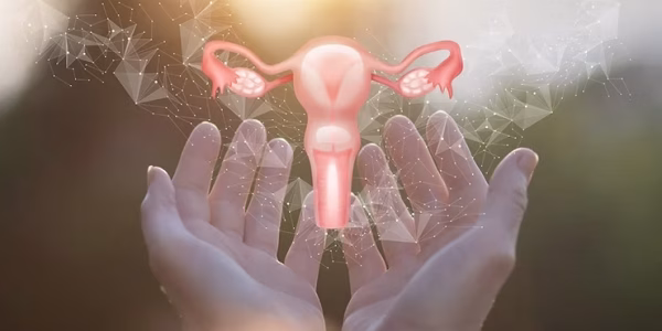 HİSTEREKTOMİ (Rahim Alınması Ameliyatı)