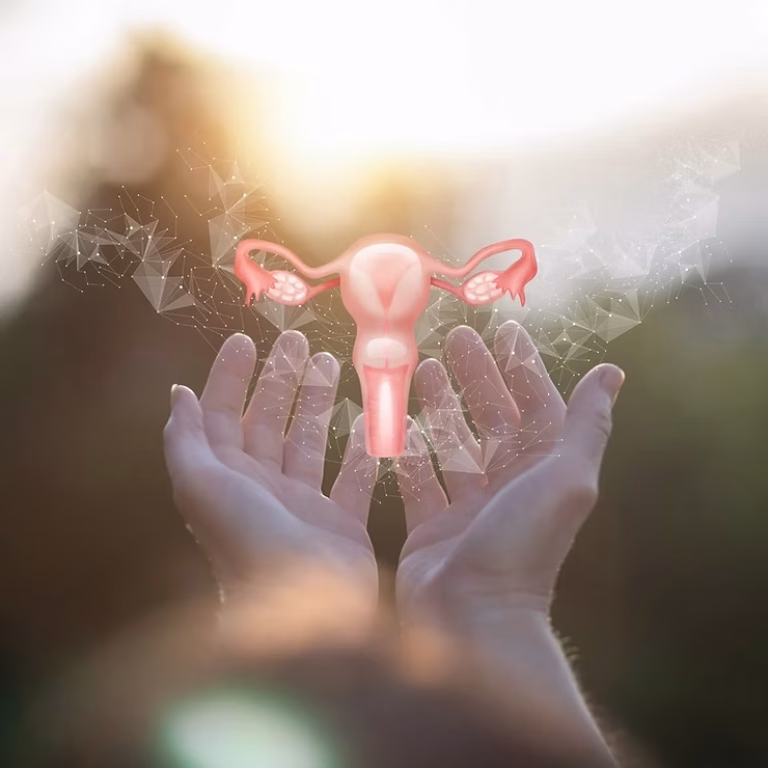 HİSTEREKTOMİ (Rahim Alınması Ameliyatı)