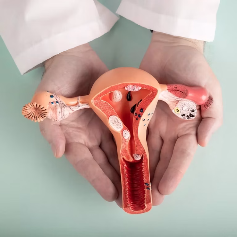 HİSTEROSKOPİ (Rahim içinin gözlenmesi)